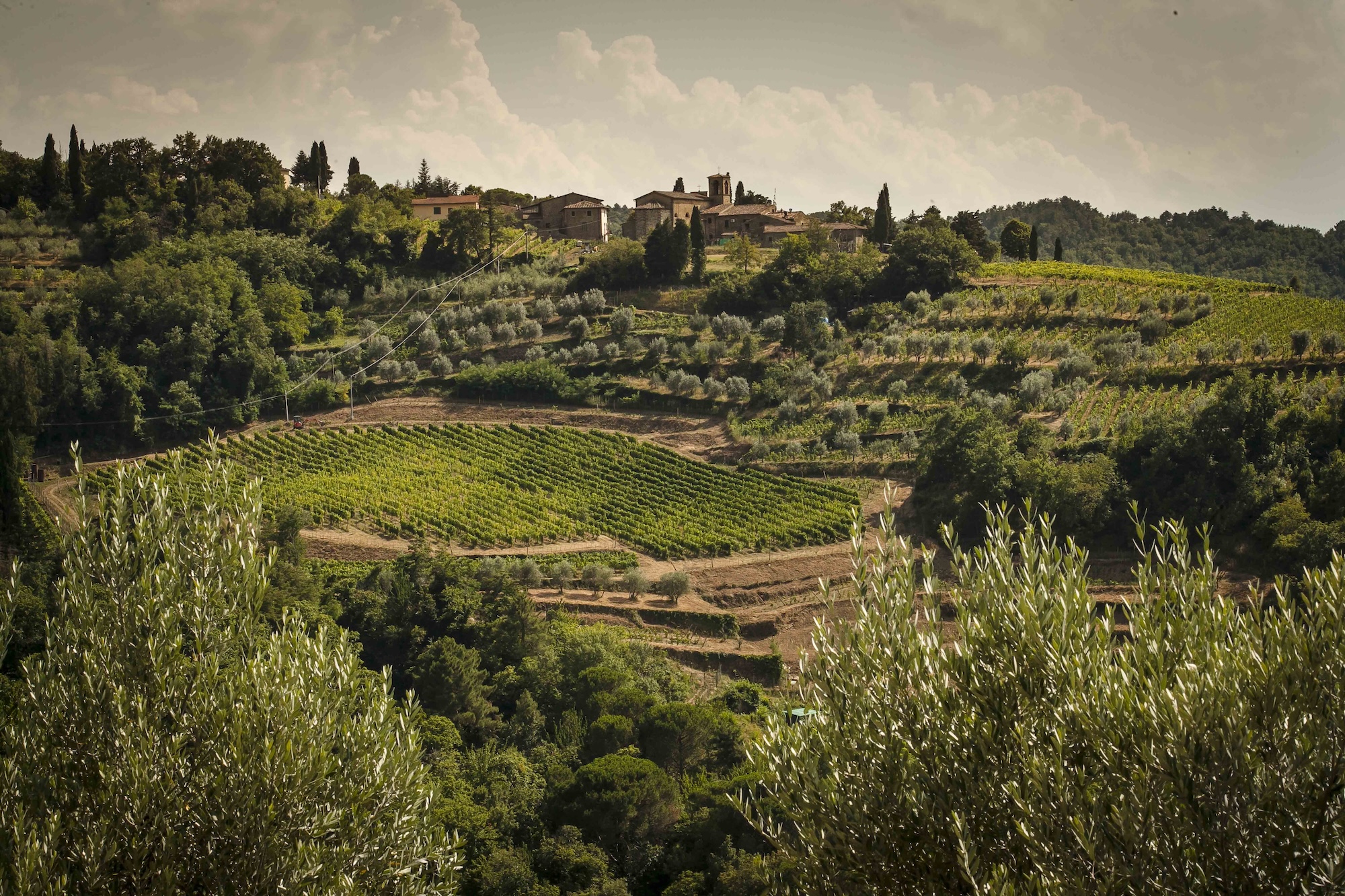 Le colline del Chianti