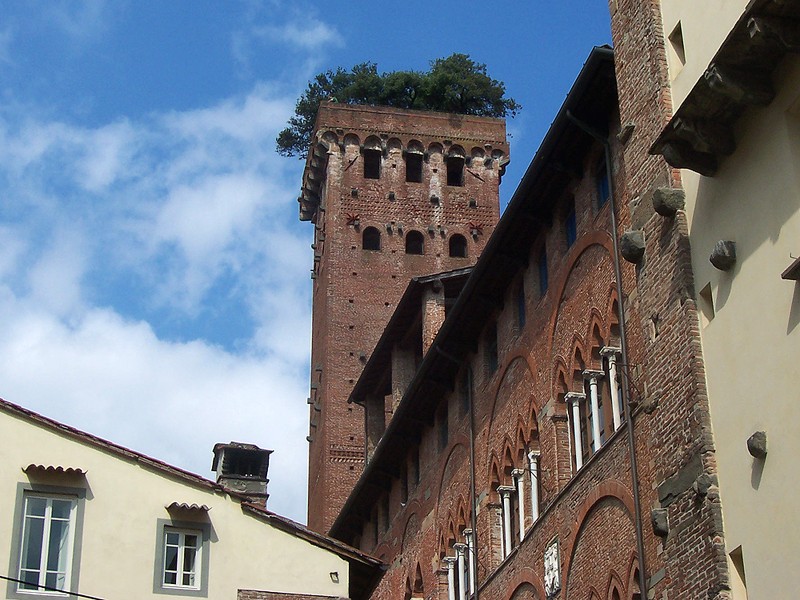 Die Torre Guinigi von unten gesehen