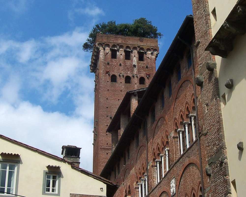 Lucca Torre Guinigi