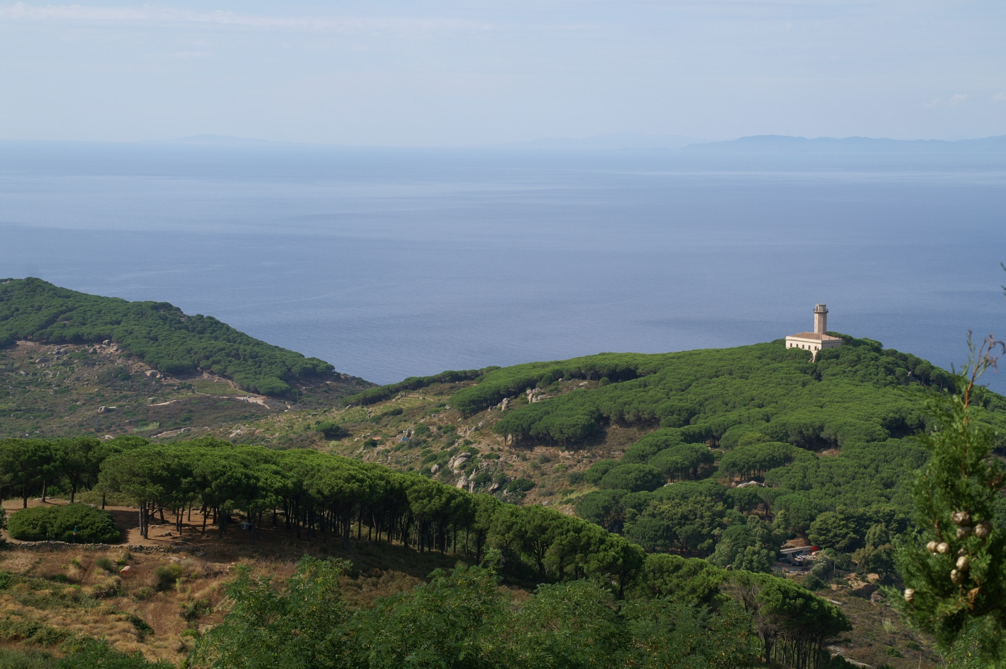 Panorama of Giglio Island
