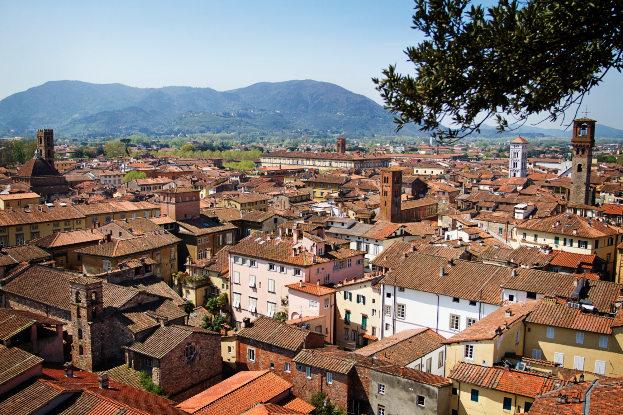 Lucca landscape