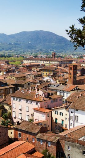 Lucca landscape