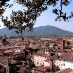 Lucca - panoramica da torre guinigi