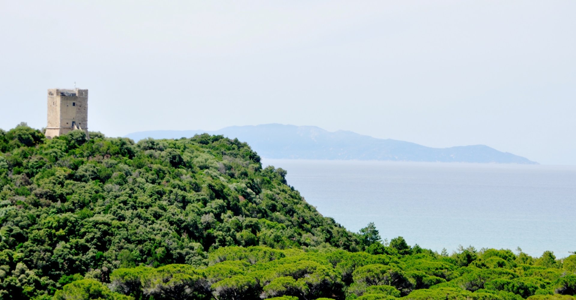 A glimpse of the Maremma Natural Park (ft tower)