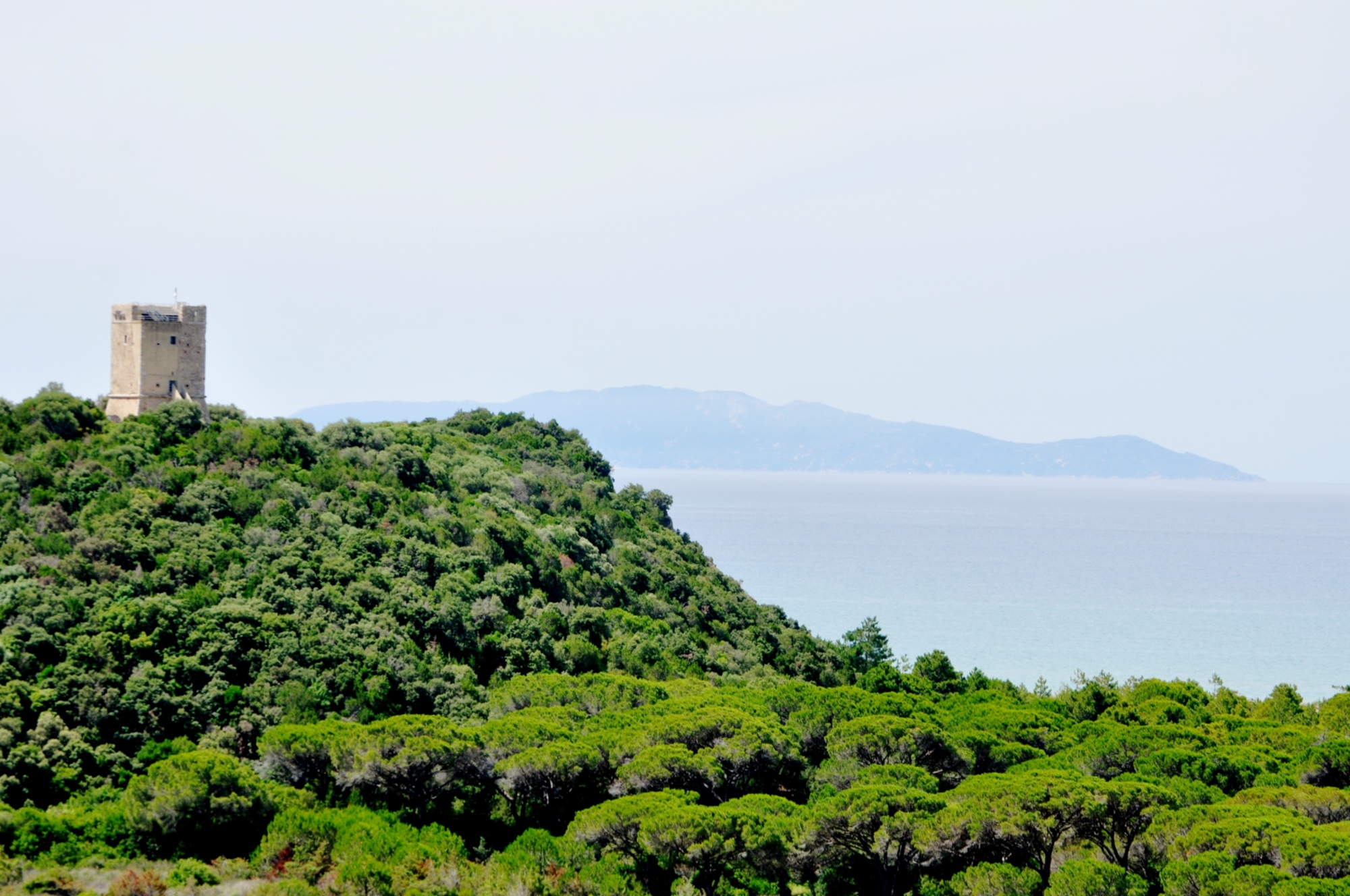 A glimpse of the Maremma Natural Park (ft tower)