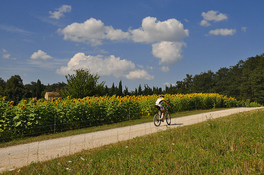 Montaione by bike