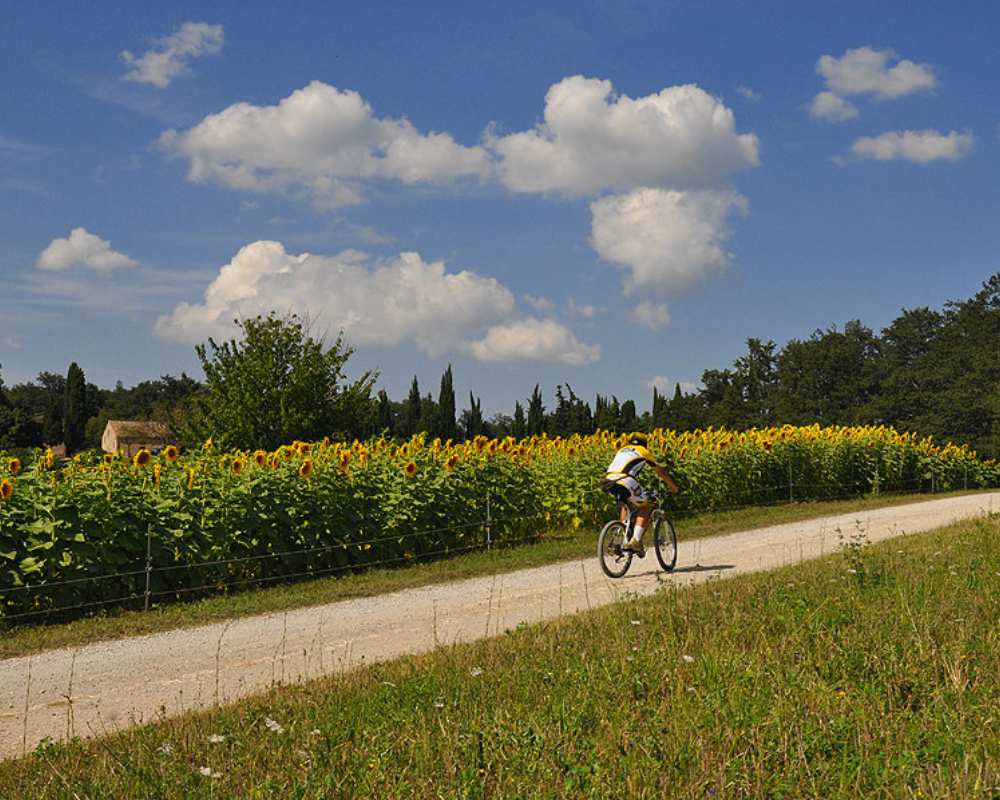 Montaione by bike
