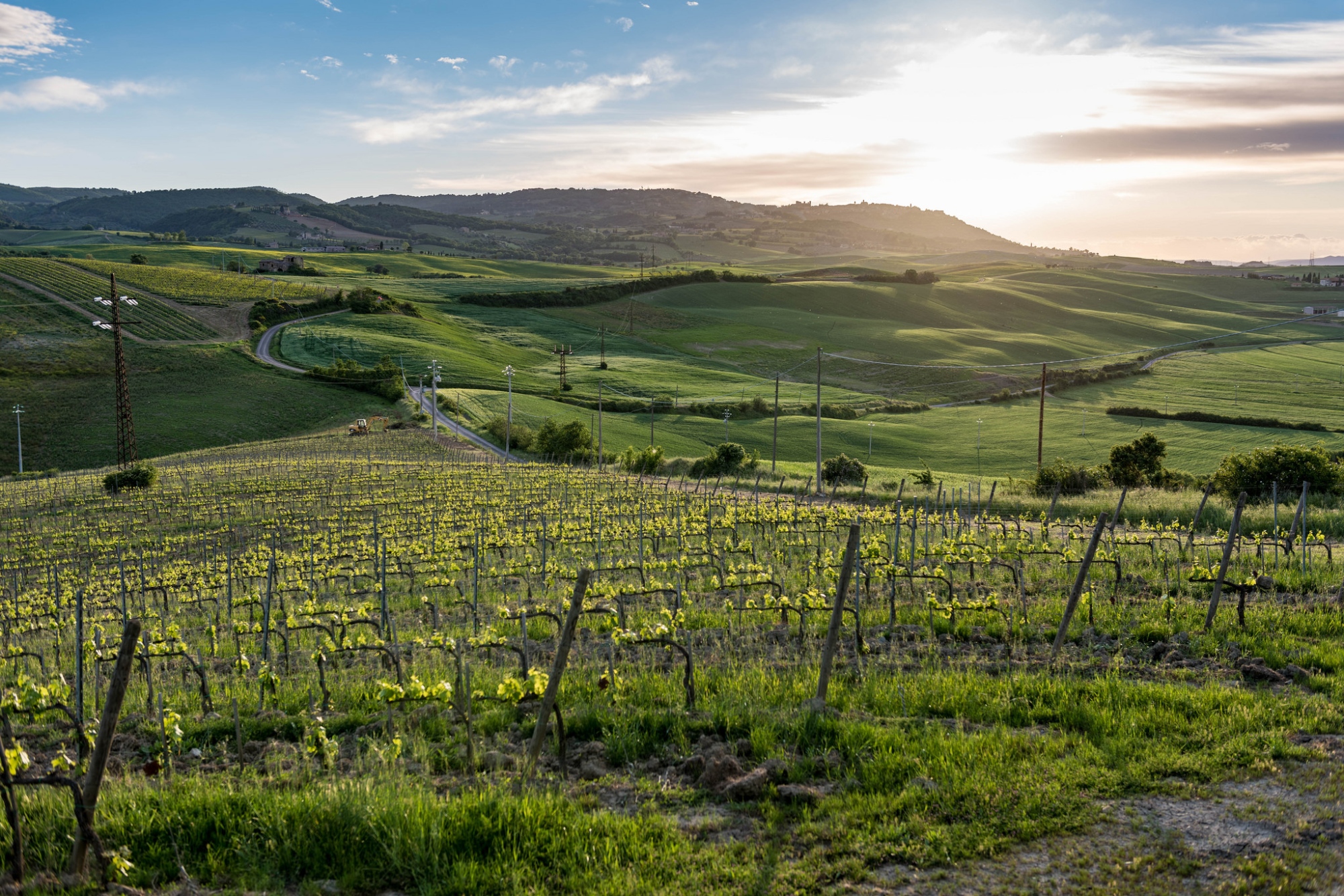 Montalcino