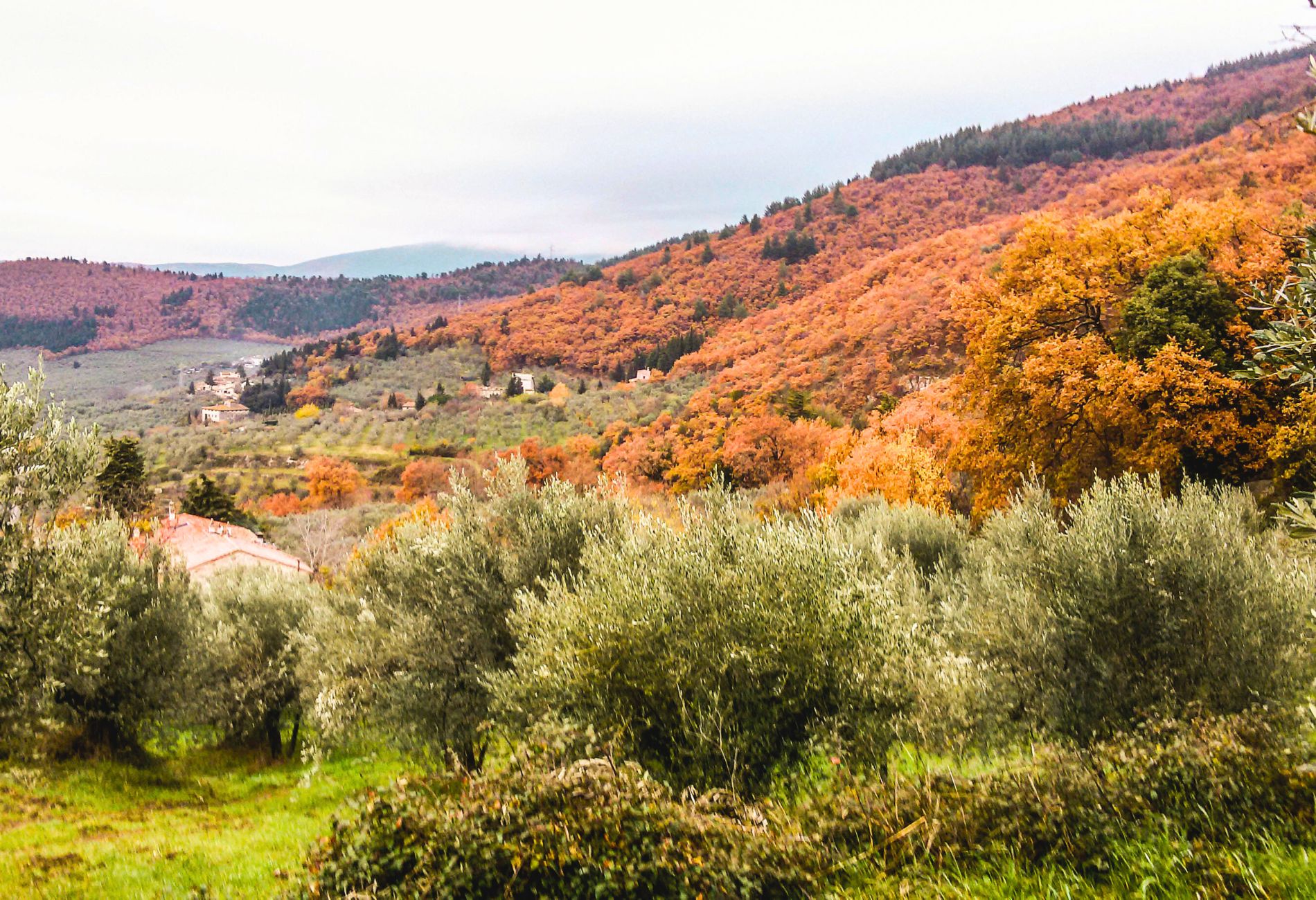 Colline del Monte Morello in veste autunnale