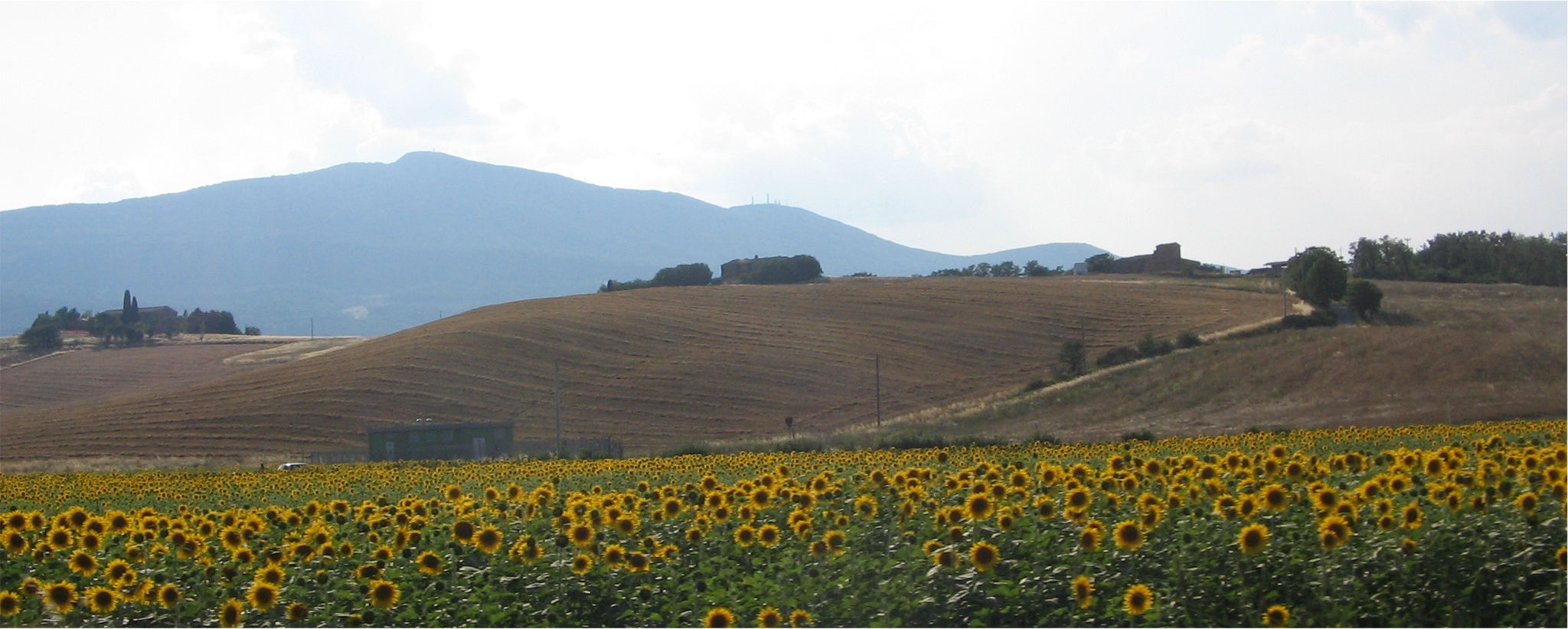 Monte Cetona