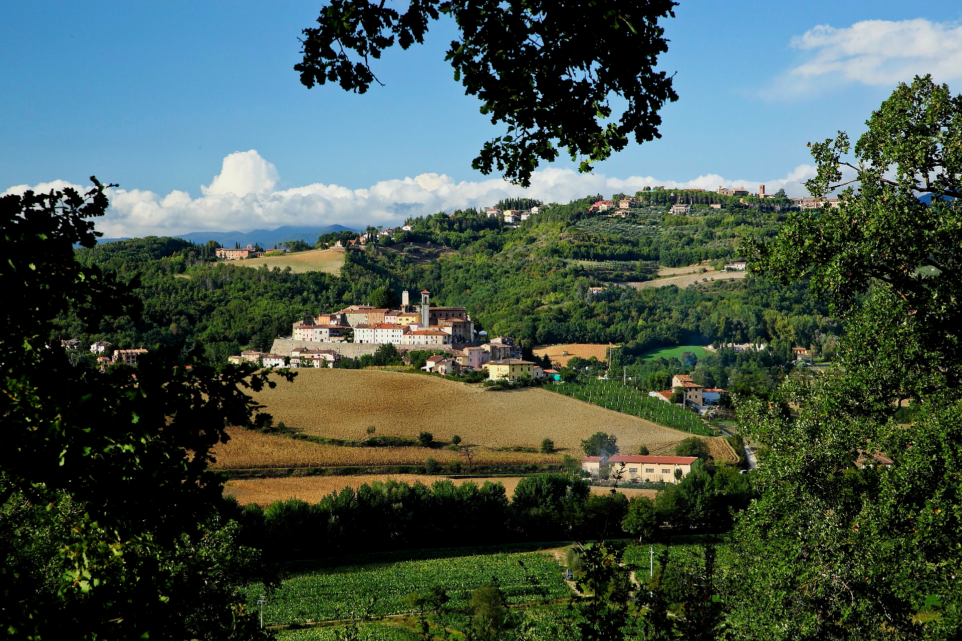 Monterchi landscape