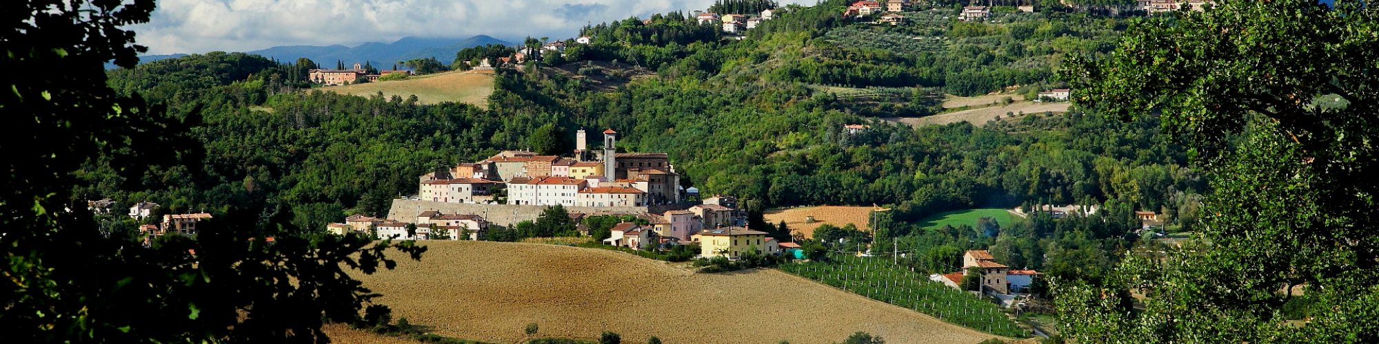 Monterchi landscape