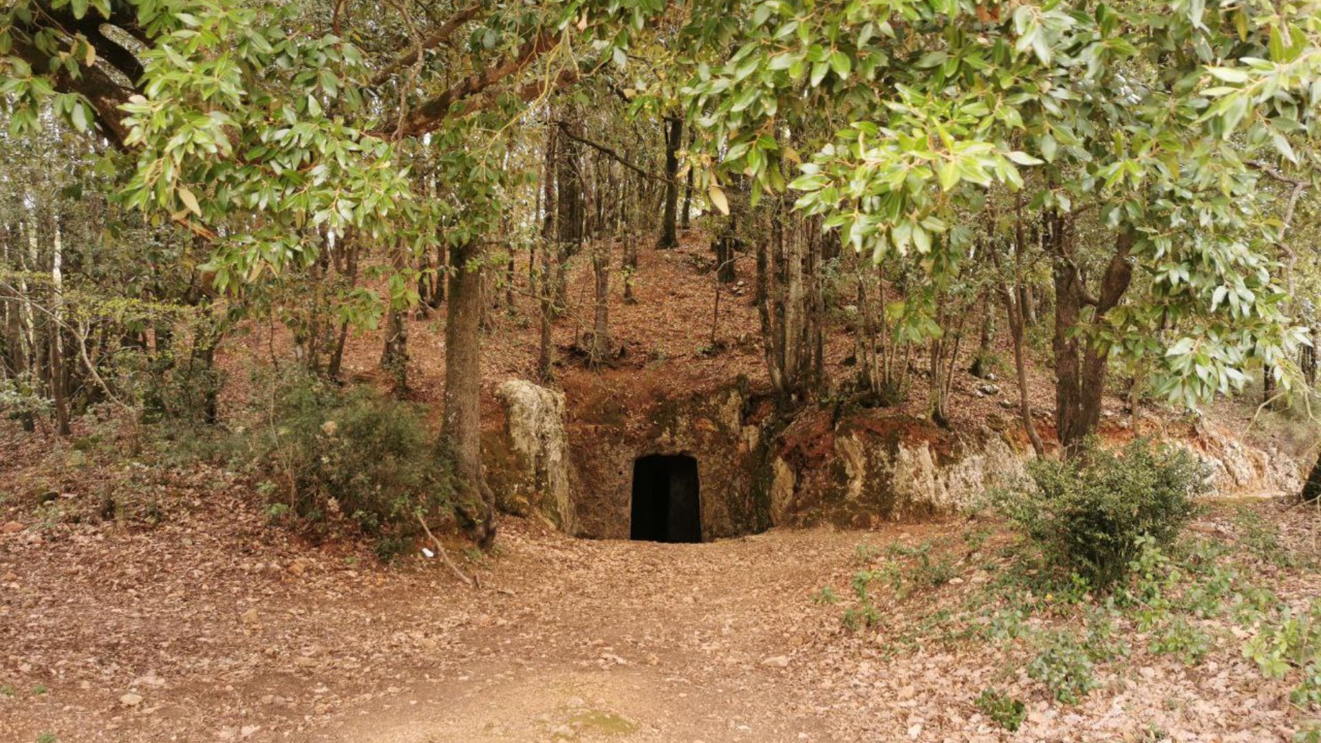 The Etruscan tumulus of Mucellena
