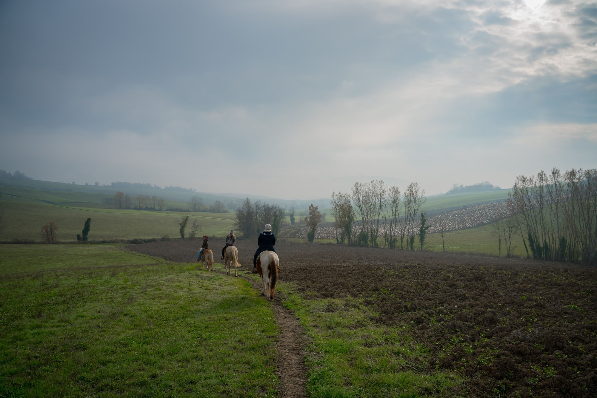 Horse riding in the Mugello area