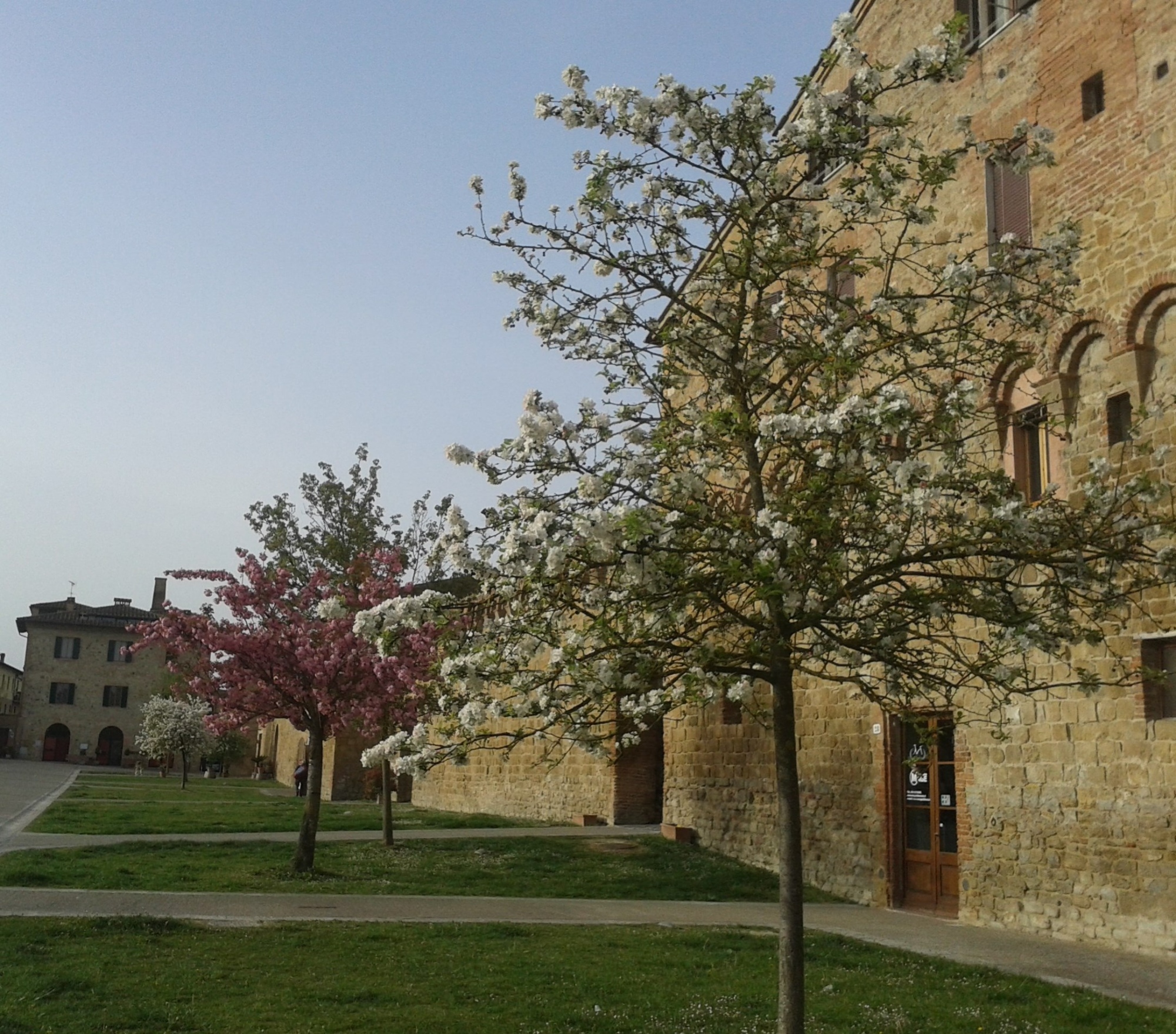 Buonconvento