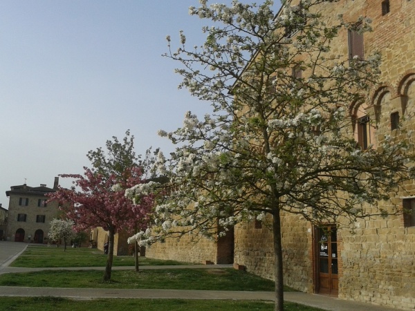 Buonconvento Buonconvento