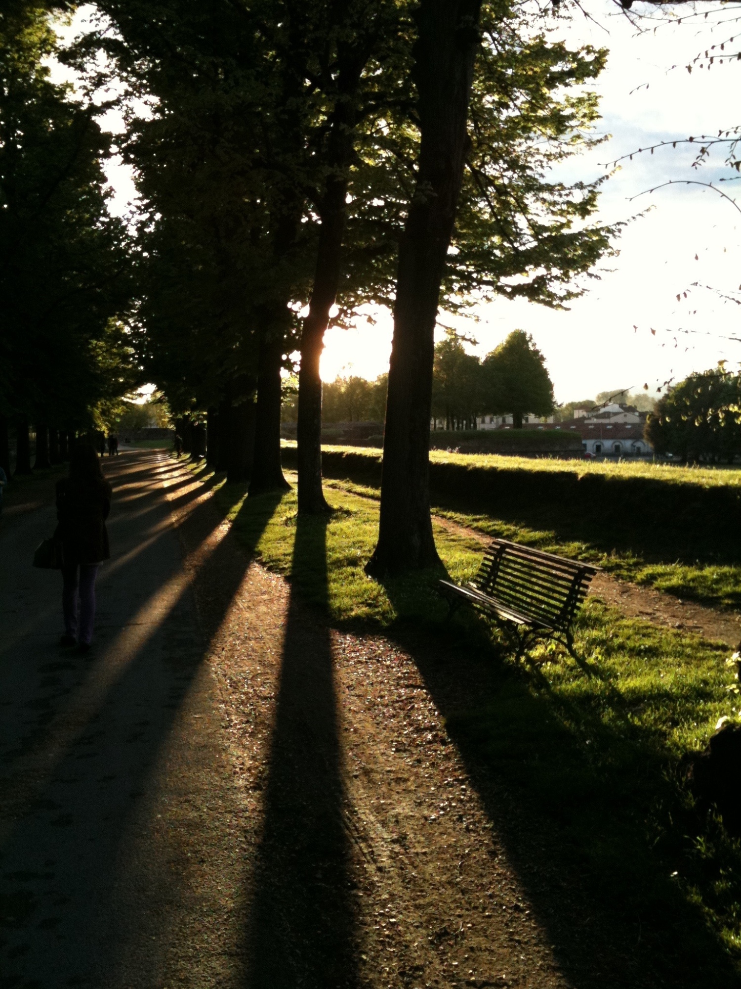 A passeggio sulle mura di Lucca