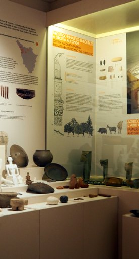 Museo Cívico Arqueológico de Camaiore