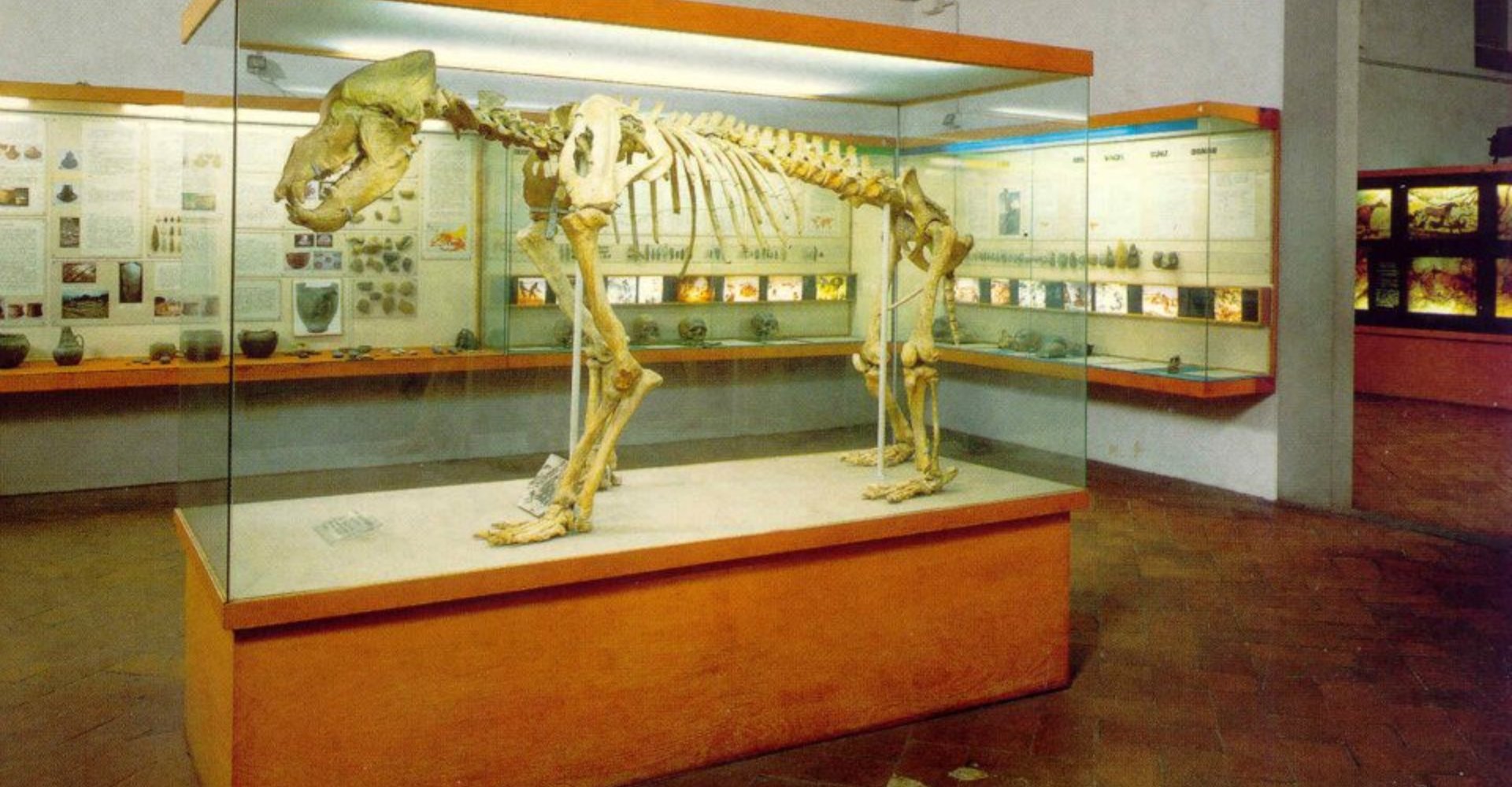Paolo Graziosi Museum of Prehistory