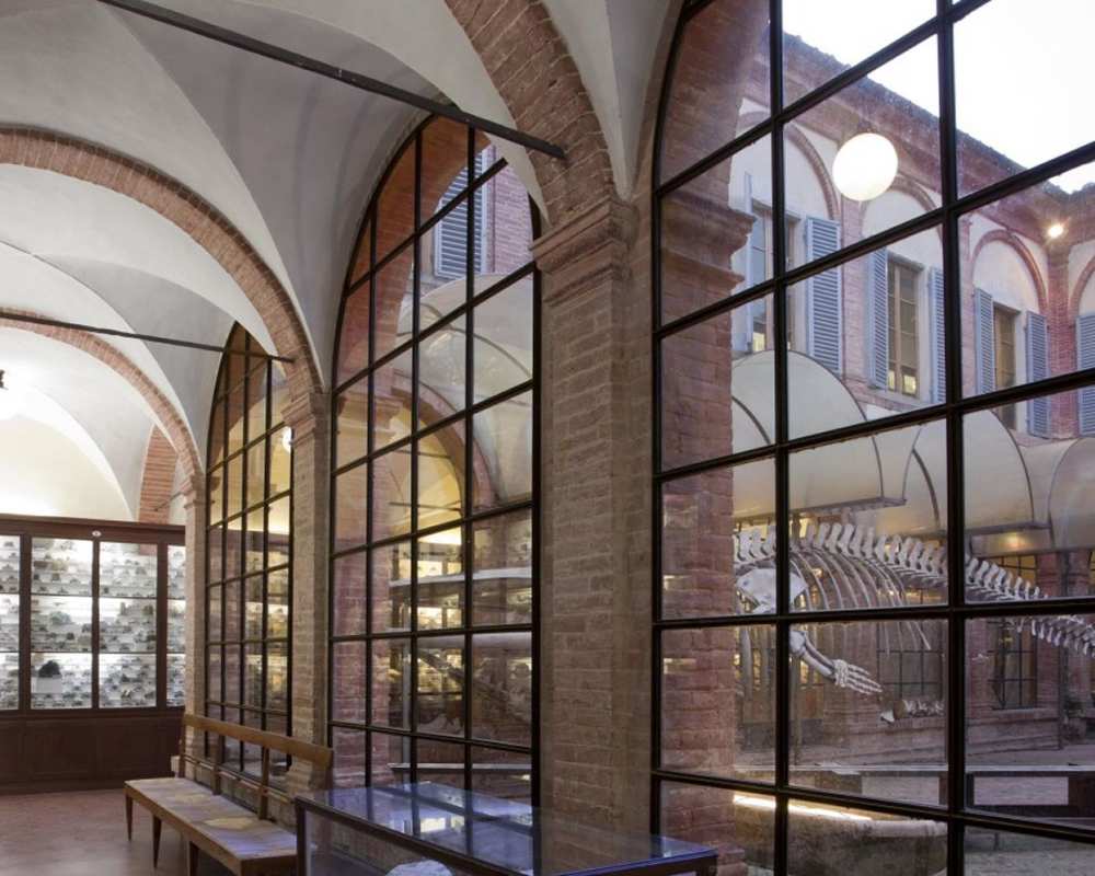 Musée d'histoire naturelle de l'Accademia dei Fisiocritici