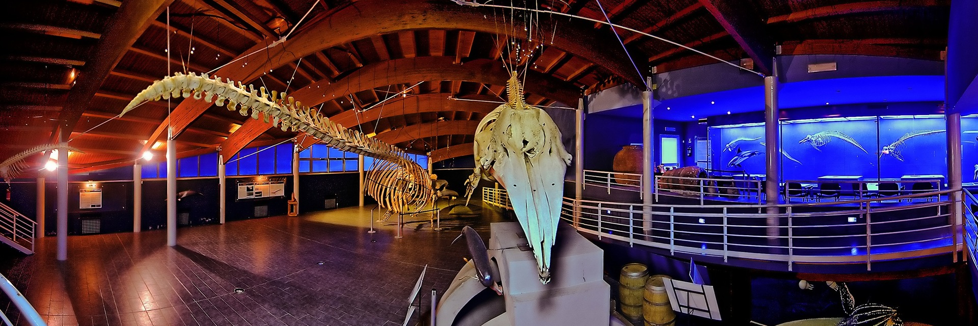 El Museo de Historia Natural del Mediterráneo