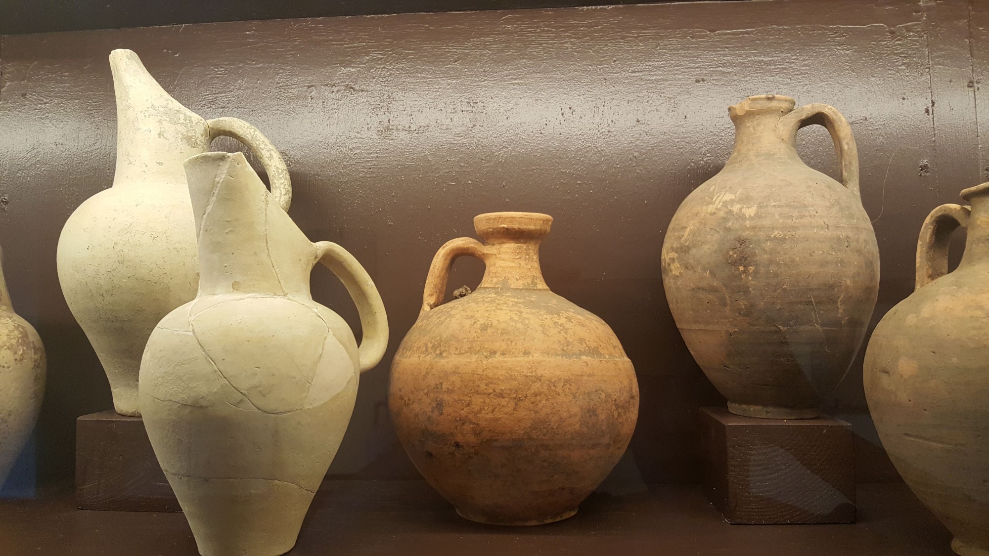 Museo Gasparri