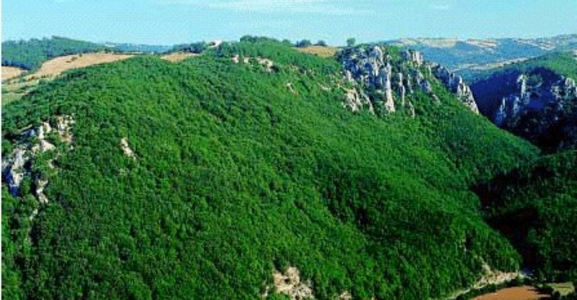 Reserva Natural del Bosque de Rocconi (Roccalbegna)