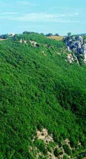 Reserva Natural del Bosque de Rocconi (Roccalbegna)