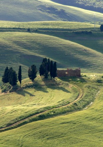 colline Toscana