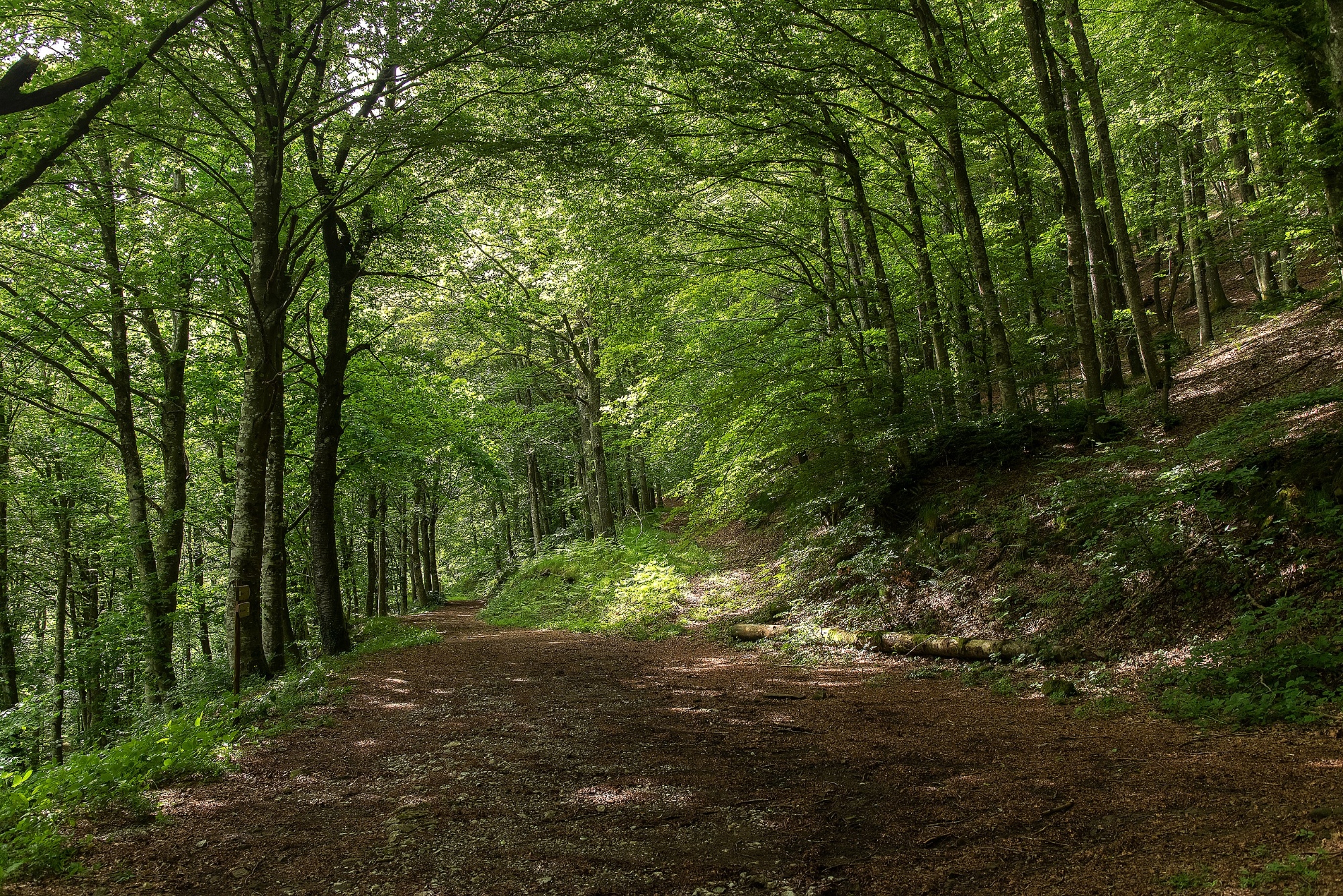 Ein Weiler in der Riserva Naturale Acquerino Cantagallo