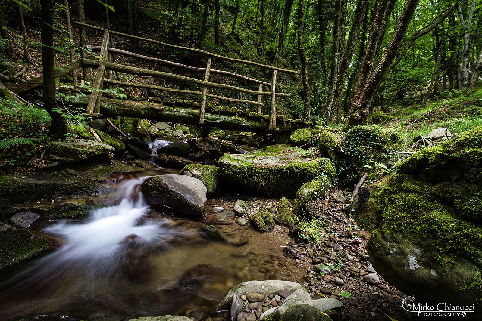 Le sorgenti del Bisenzio presso la Riserva Naturale Acquerino Cantagallo