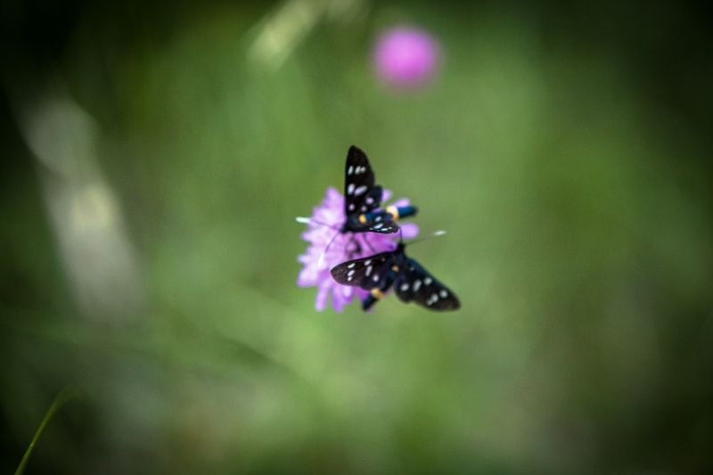 La natura della Valtiberina