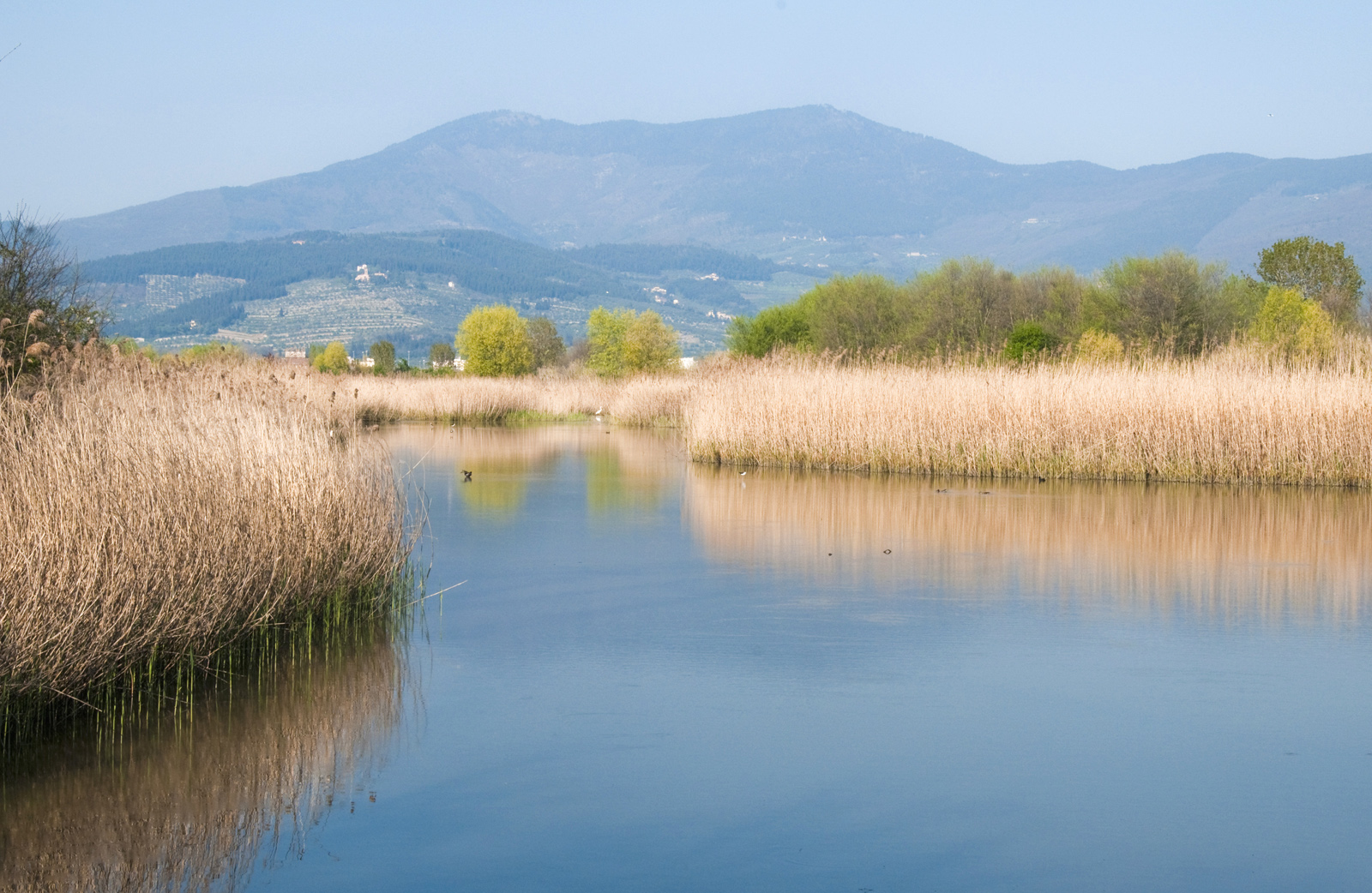 Seen-Naturschutzgebiet von Focognano in Campi Bisenzio