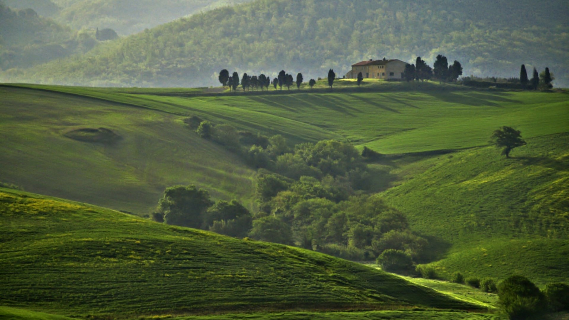 Countryside around Orciano Pisano