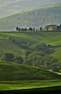 Countryside around Orciano Pisano