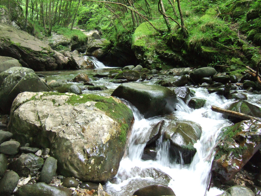 Nell'Orrido di Botri