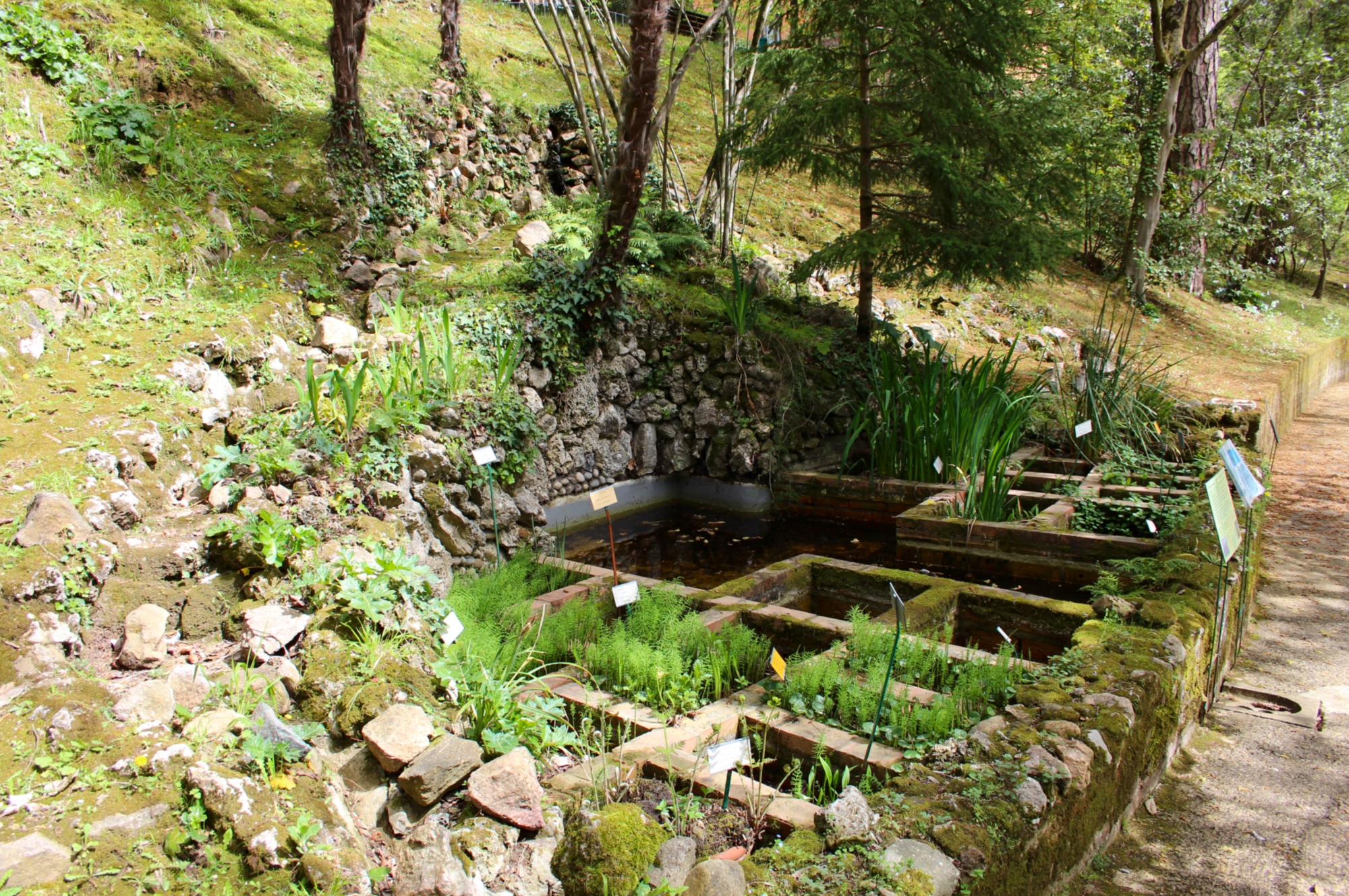 Orto Botanico dell'Università Siena