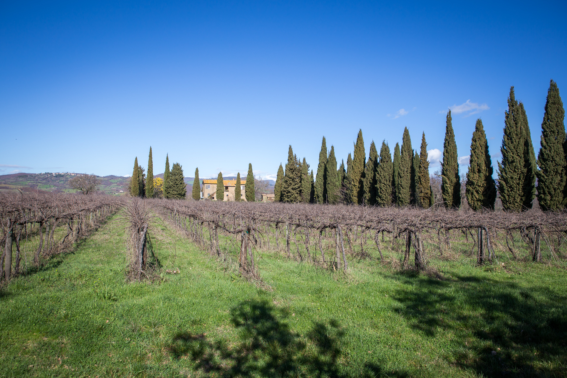 Maremma Landscape
