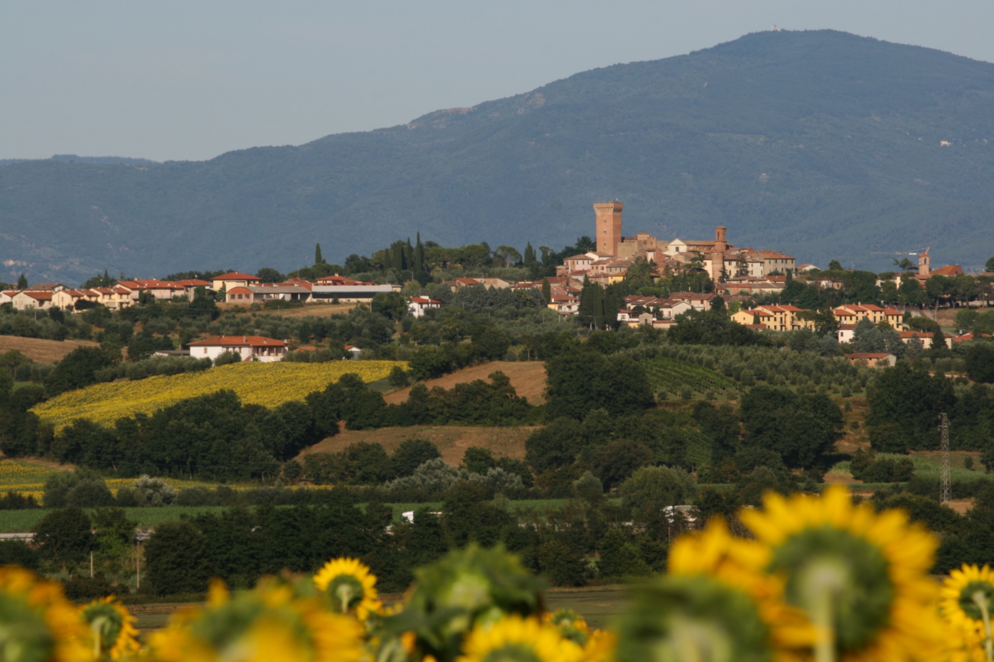 Panorama di Marciano della Chiana