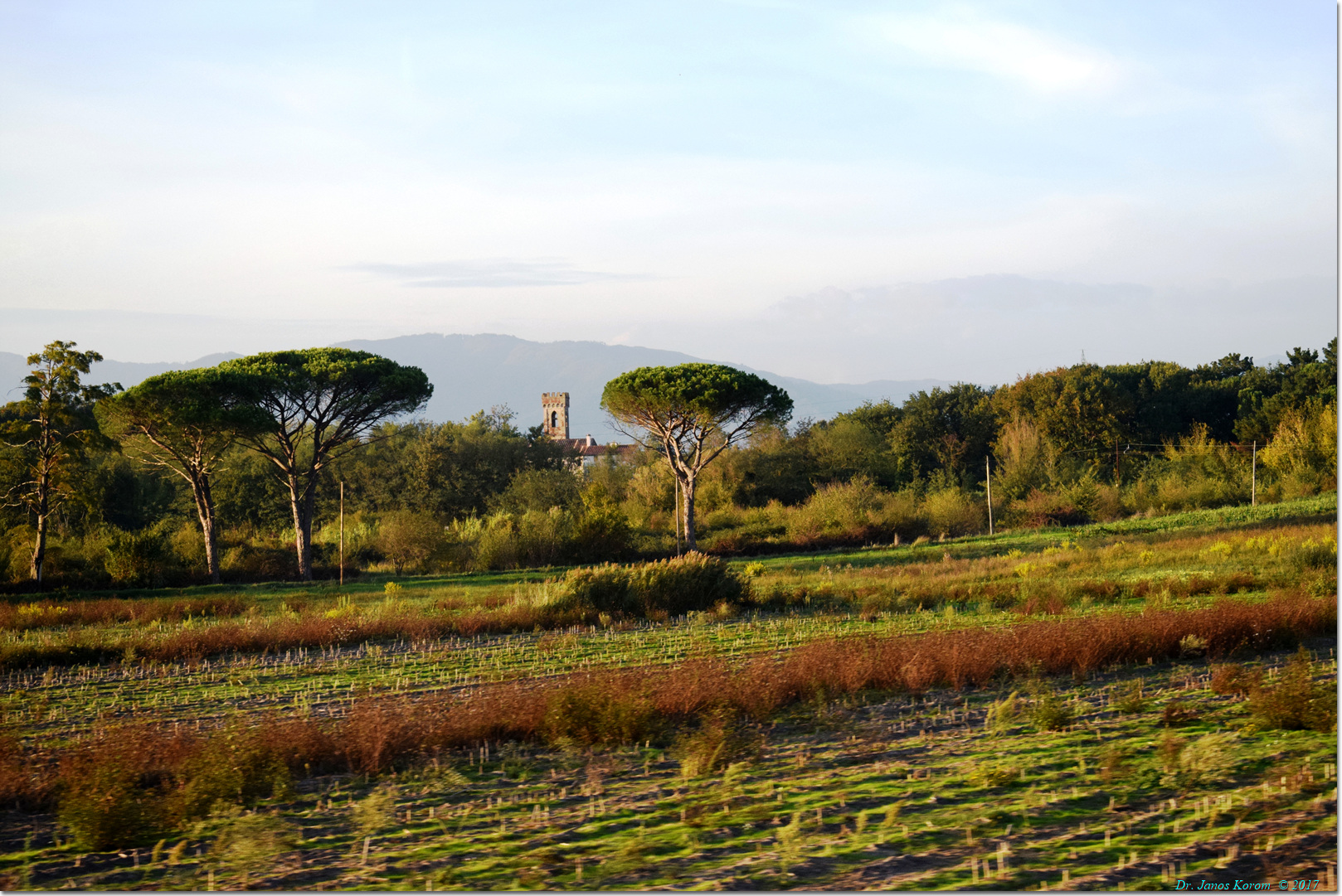 Panorama Porcari