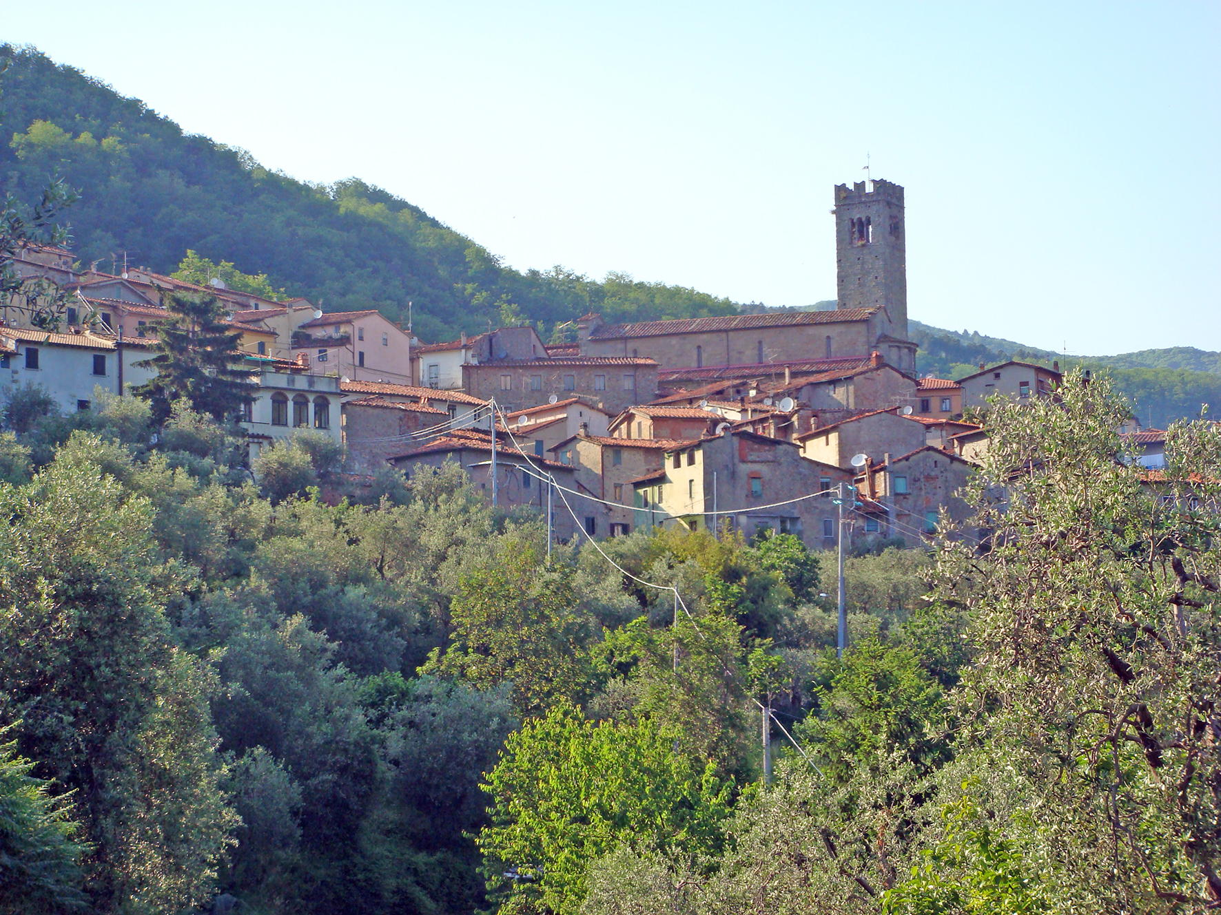 Panorama Villa Basilica