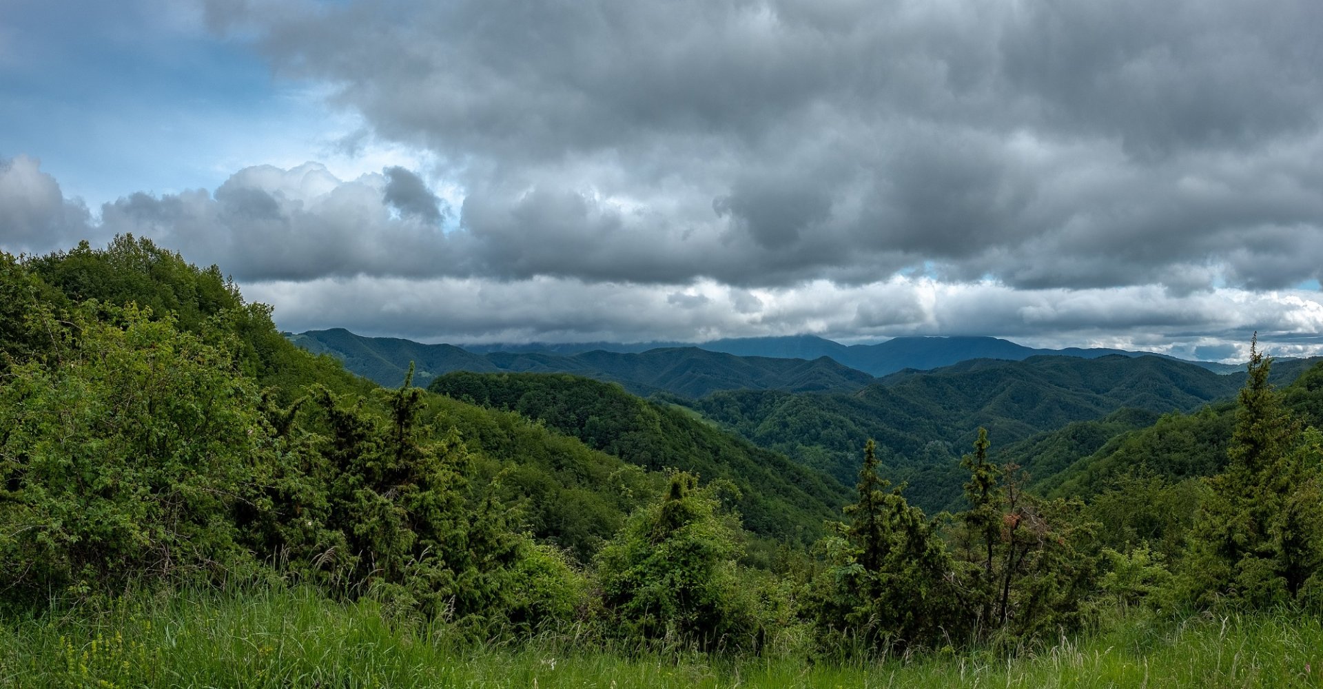 Dans les forêts des moines