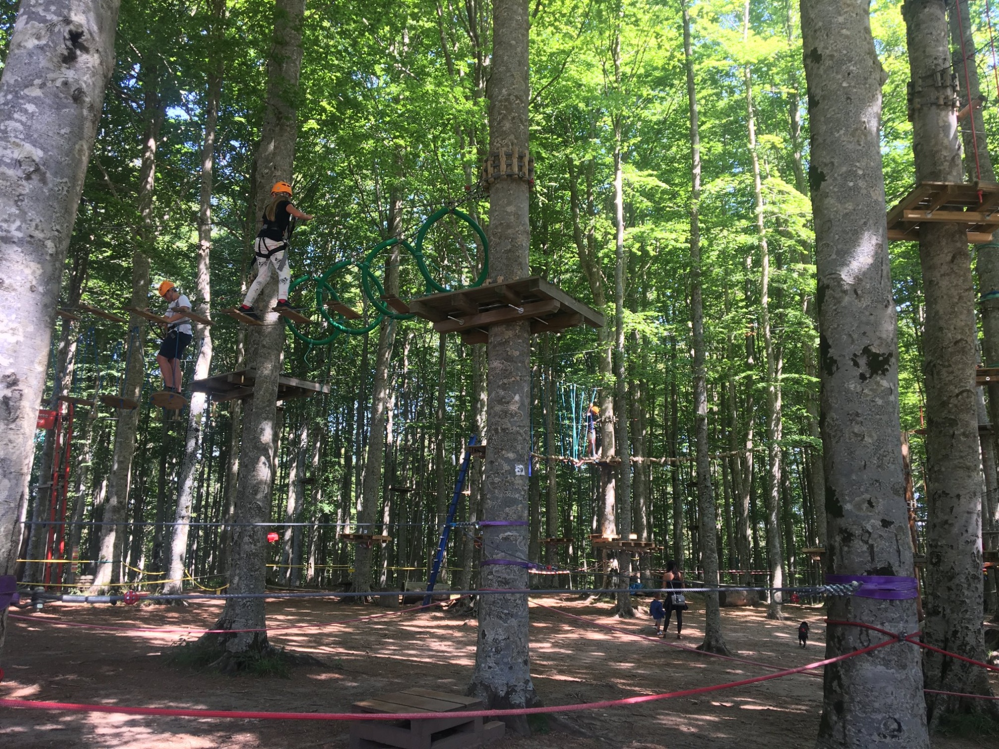 Parc d'aventures Indiana Park d’Amiata