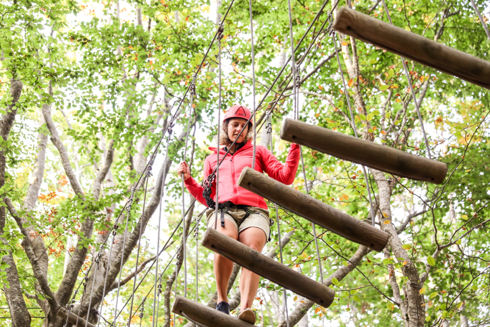 Selva del Buffardello, Adventure Park in Garfagnana