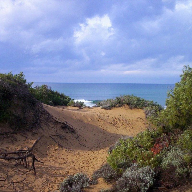 Download Il Parco Naturale Di Rimigliano Visit Tuscany Desktop Wallpaper Free Get Wallpaper Il Parco Naturale Di Rimigliano Visit Tuscany For Free