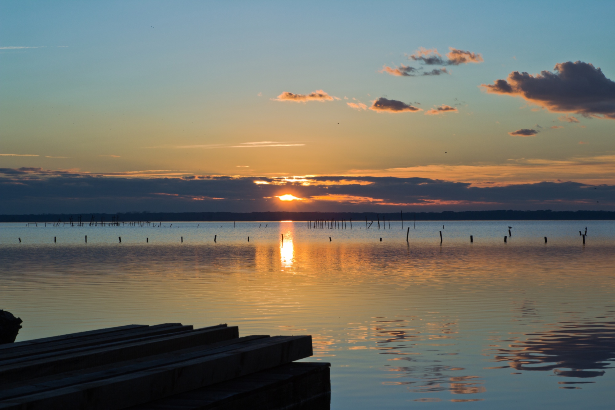 Massaciuccoli Lake at sunset