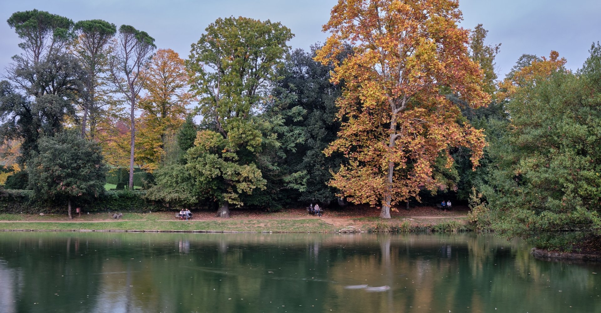 Parco di Villa Puccini di Scornio