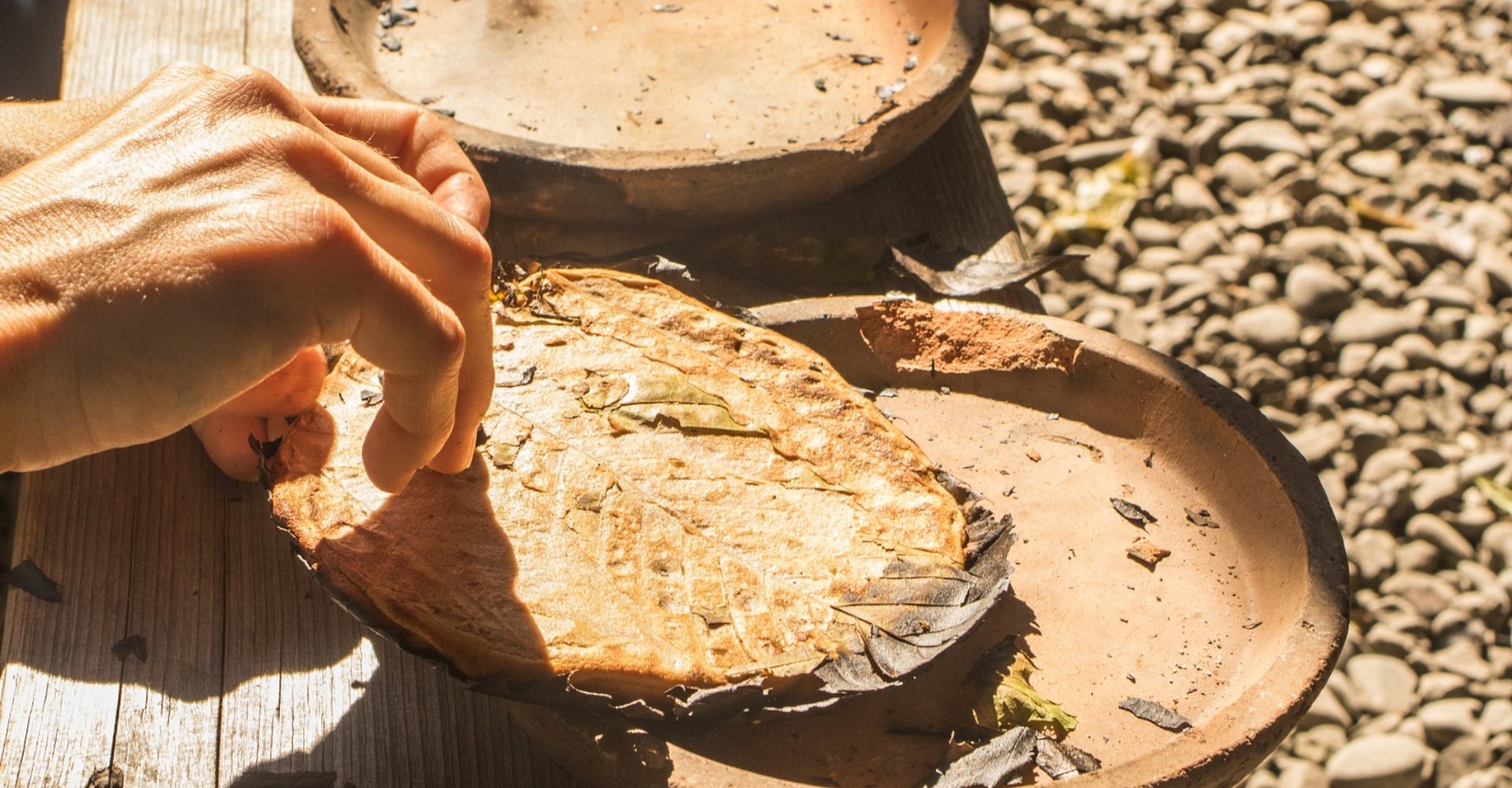 Patona of Lunigiana