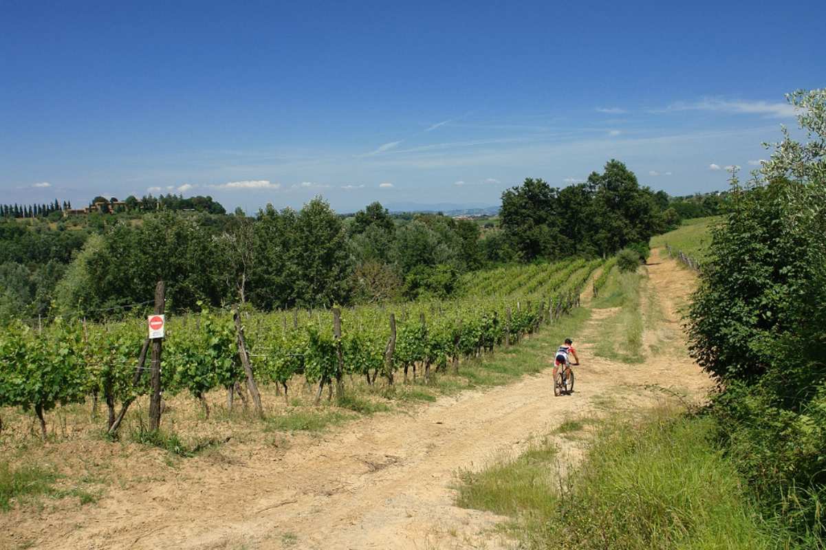 Percorso in mountain bike a Montaione Percorso in mountain bike a Montaione