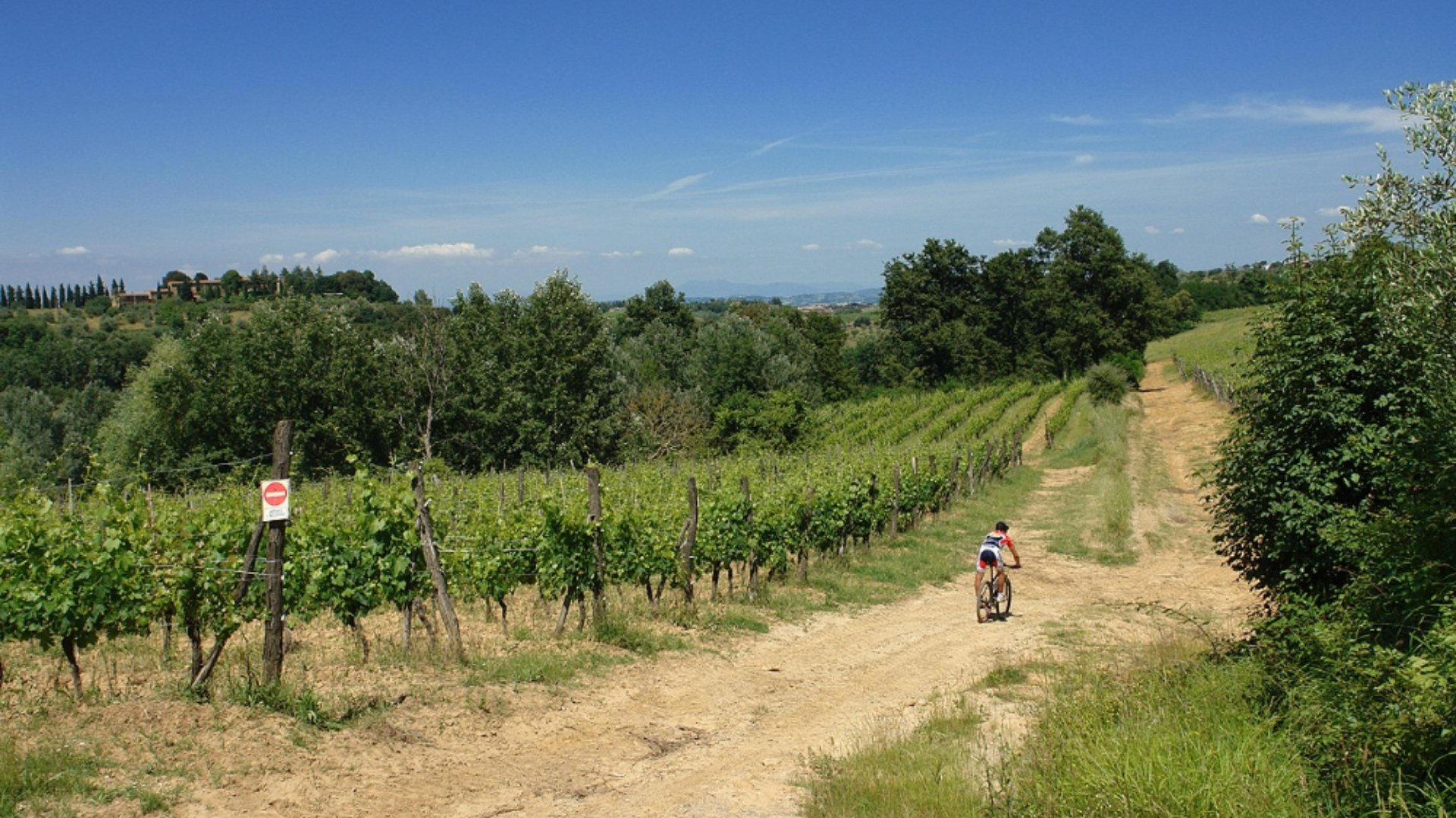 Percorso in mountain bike a Montaione